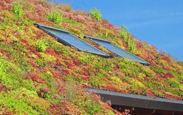 Pentre Berw living roof systems